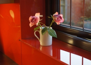 Red kitchen splashback